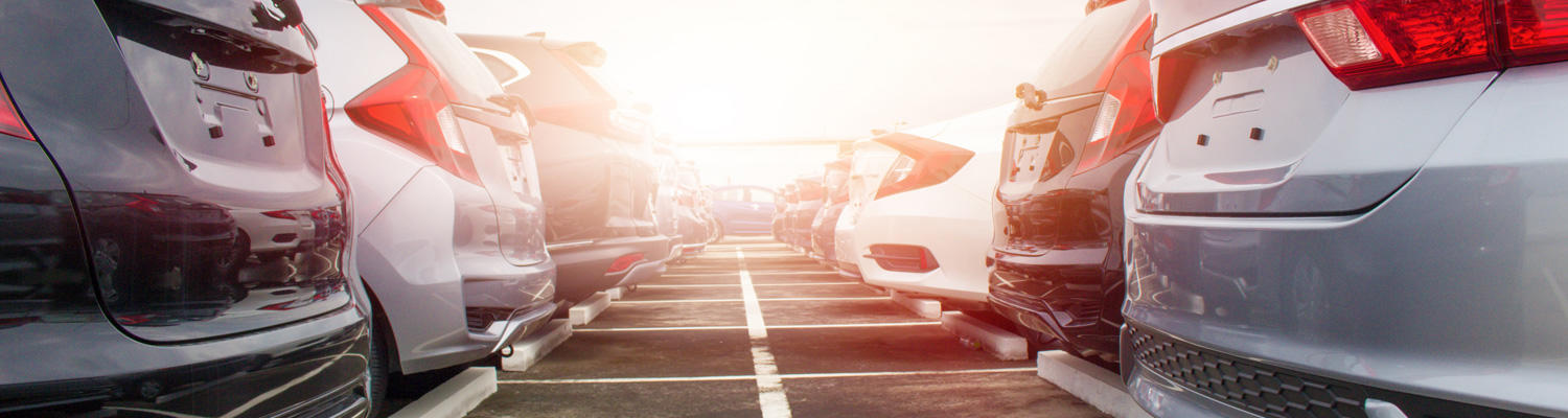 Photo showing two rows of vehicles backed into parking spaces.