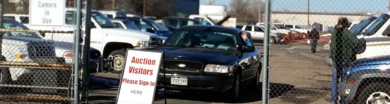 Rows of vehicles waiting for auction visitors