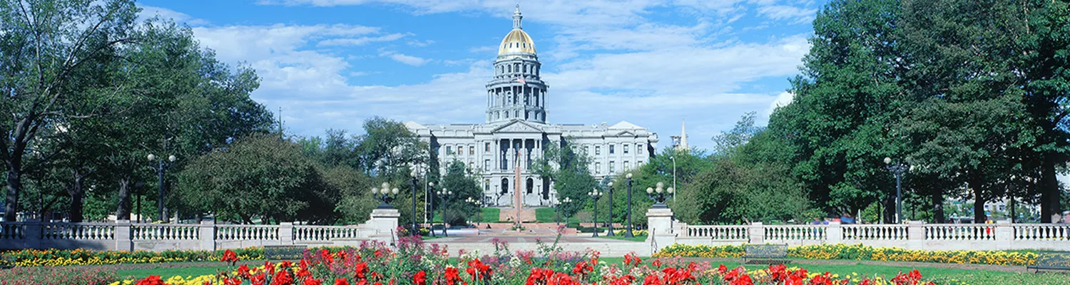 Flowers in the foreground with the capitol building in the background