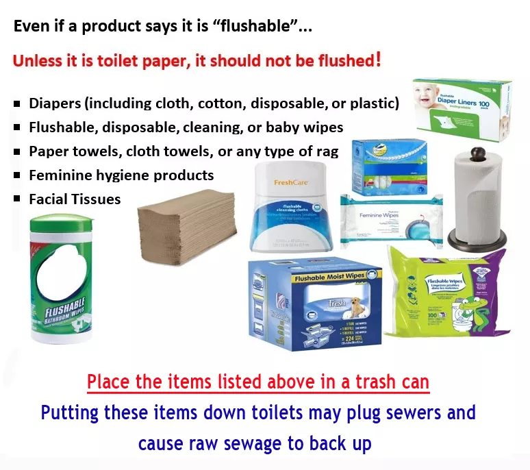 No wipes down the pipes even if a product says it's flushable.